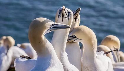 开云下载-九游体育入口：开启专业体育娱乐的新纪元